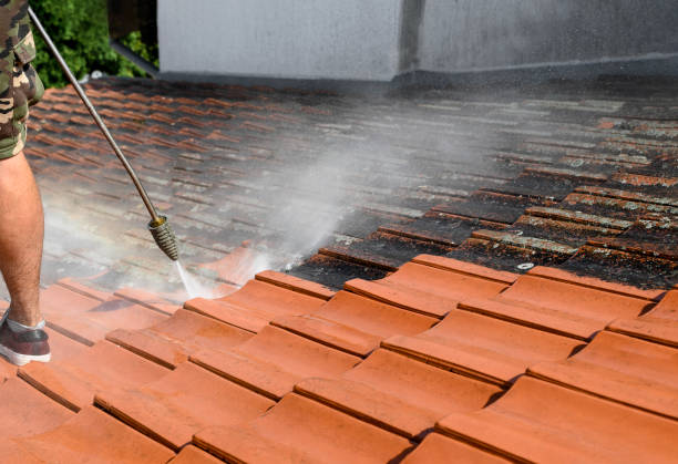 Best Best Pressure Washing Companies  in Sylacauga, AL